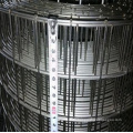 Galvanized/ PVC Coated Welded Wire Mesh